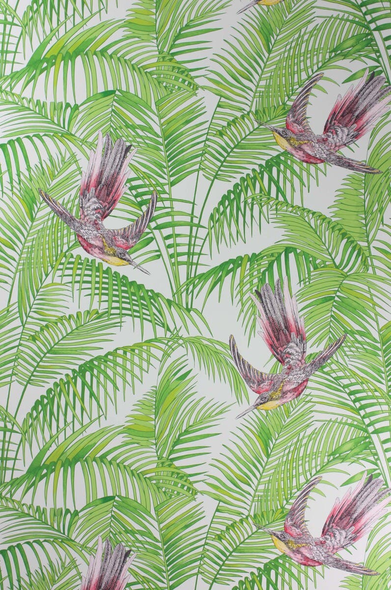 SUNBIRD RUBY/KIWI
