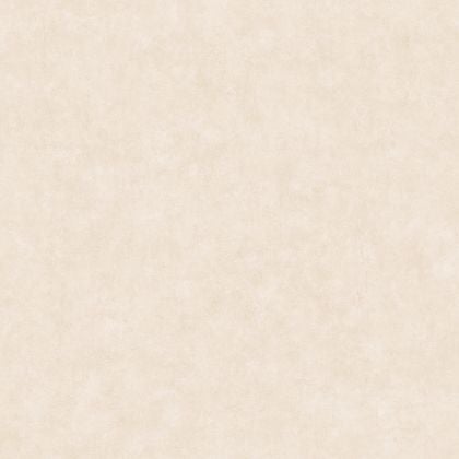 Caselio - Uni Metallise/Nacre Brume Beton 2