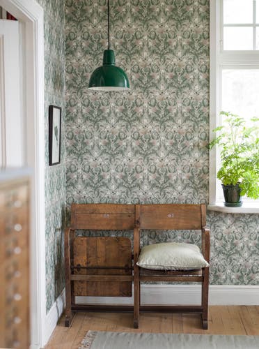 Boråstapeter - Thistle