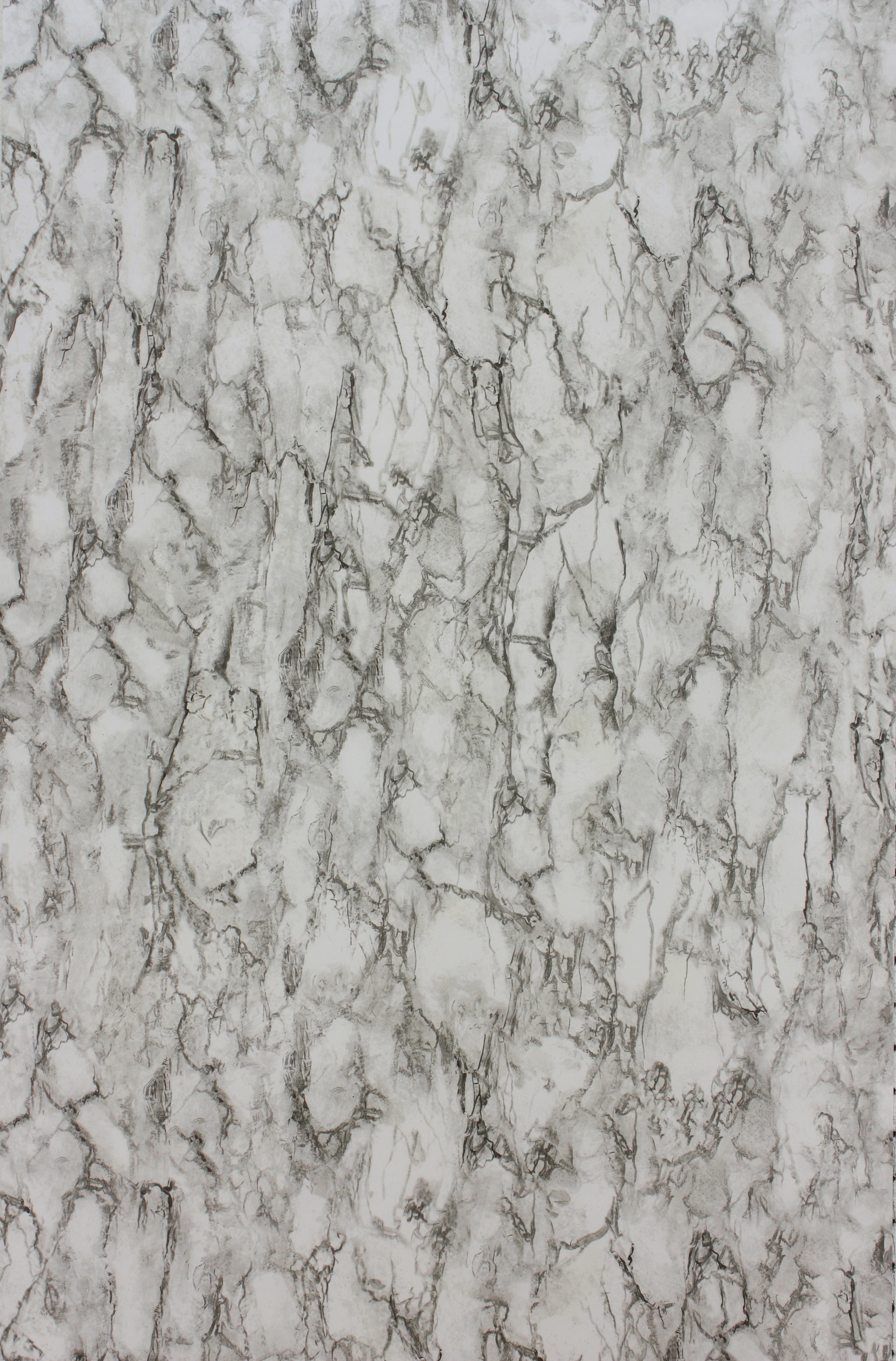 Nina Campbell - Kershaw Nc Fontibre Kershaw Plain