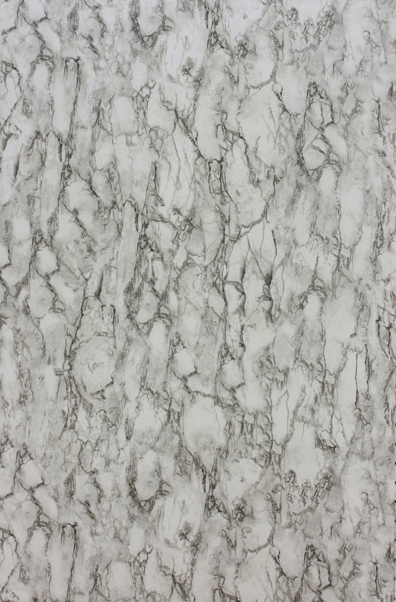 Nina Campbell - Kershaw Nc Fontibre Kershaw Plain