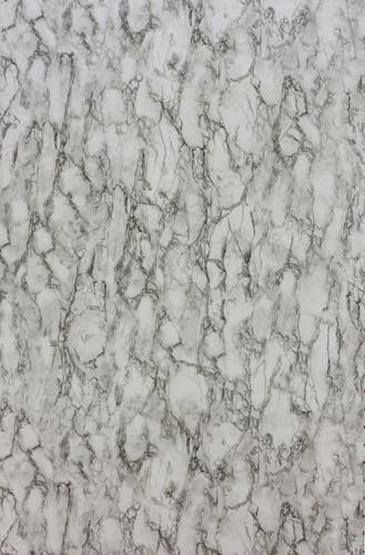 Nina Campbell - Kershaw Nc Fontibre Kershaw Plain