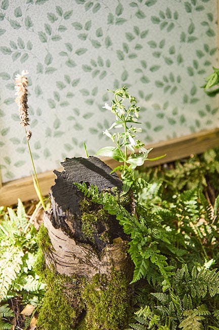 Sanderson - Tomato Leaf Wedgwood Country Woodland Wallcove