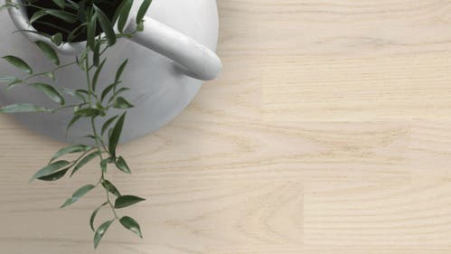 Shade | Ek Nothern White Tres