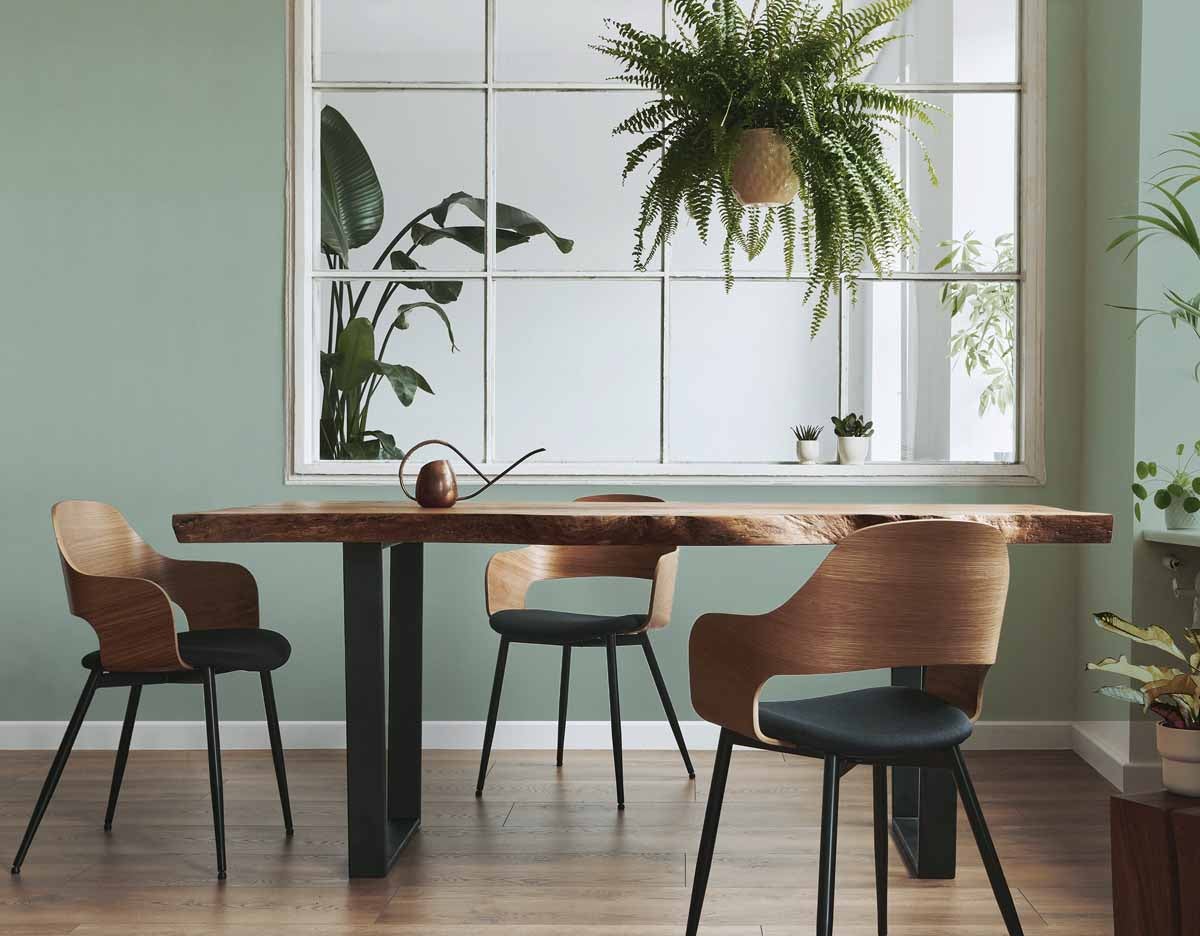 Carma - Mixa & Matcha 4 Vibrant Walls